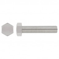 Din 933 Inoxa2 Torn Hex 10x25