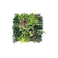Jardin vertical belice c 50 x 50 cm novagarden