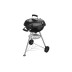 Barbacoa carbon kettle con tapa Ø 47 x 18 cm Natuur