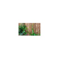 Corteza simple cara 1,5 x 3 m novagarden