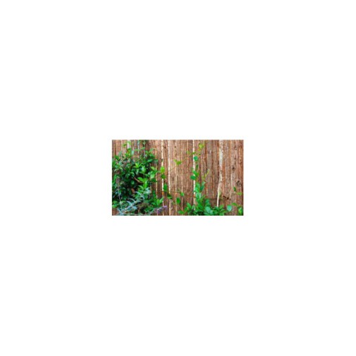 Corteza simple cara 1 x 3 m novagarden