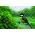 Malla anti-pajaro 02X10M verde Natuur