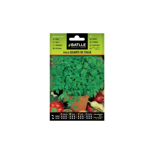 Semillas perejil gigante aromatica batlle