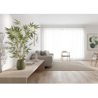 Arbol bambu tronco natural