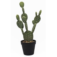 Maceta cactus