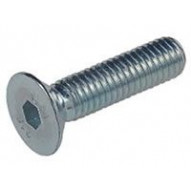 Tornillo Allen 7991 10.9 10x020mm Pavon. Fontana 200 Pz