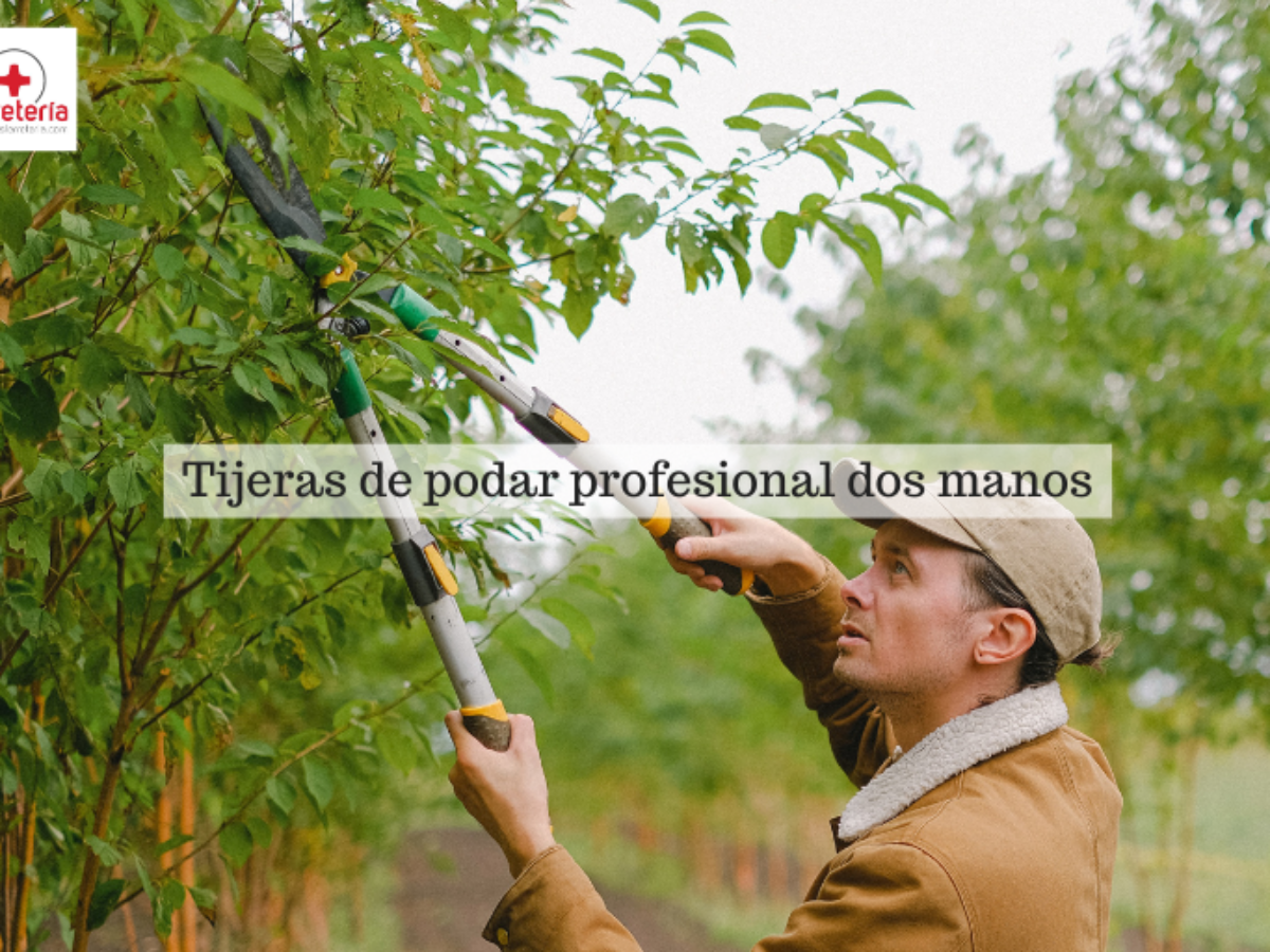 Las mejores tijeras para podar ramas y plantas en tu jardín como un  profesional