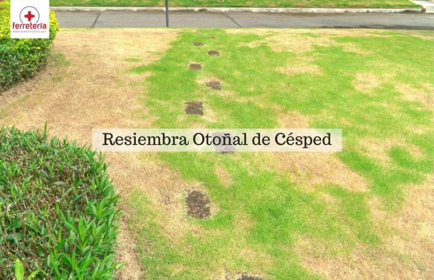 Resiembra Otoñal Cesped