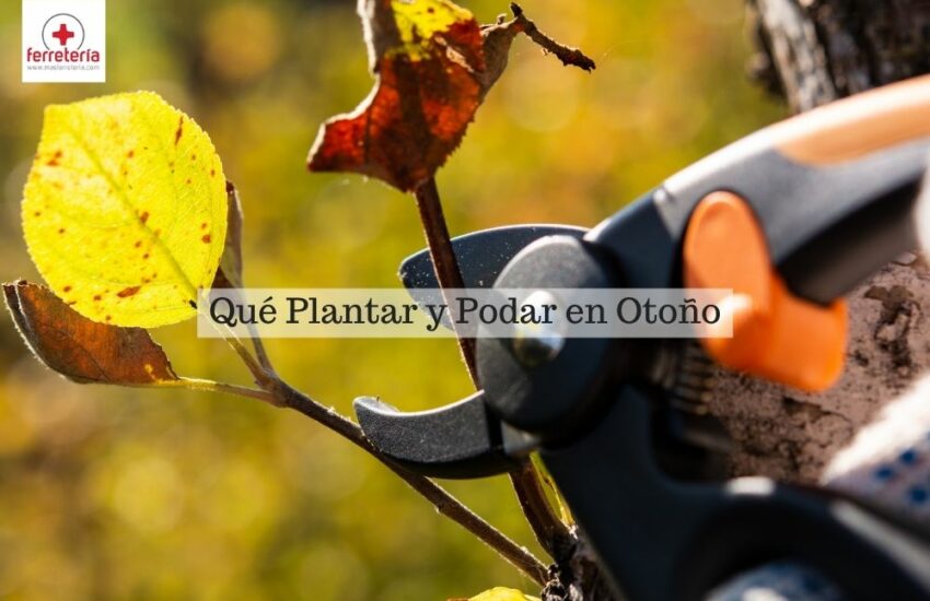 que plantar y podar en otoño