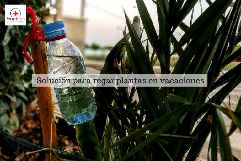 regar plantas en vacaciones