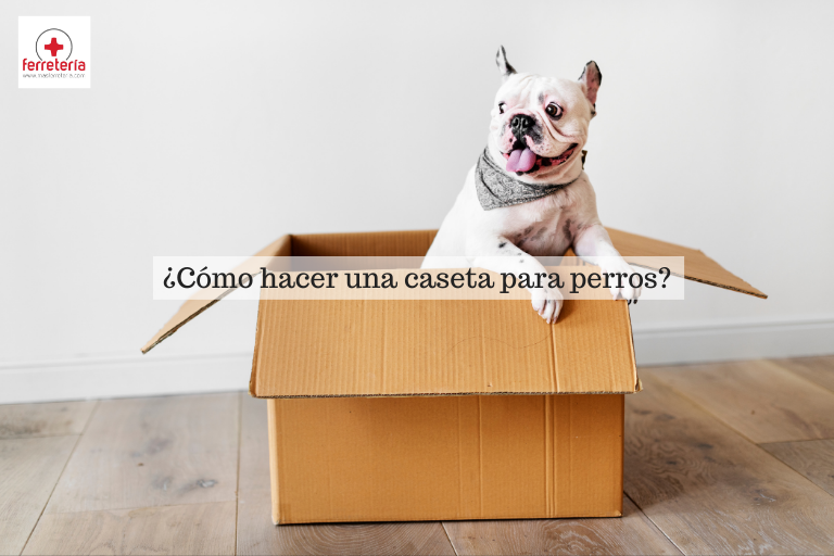 caseta para perros