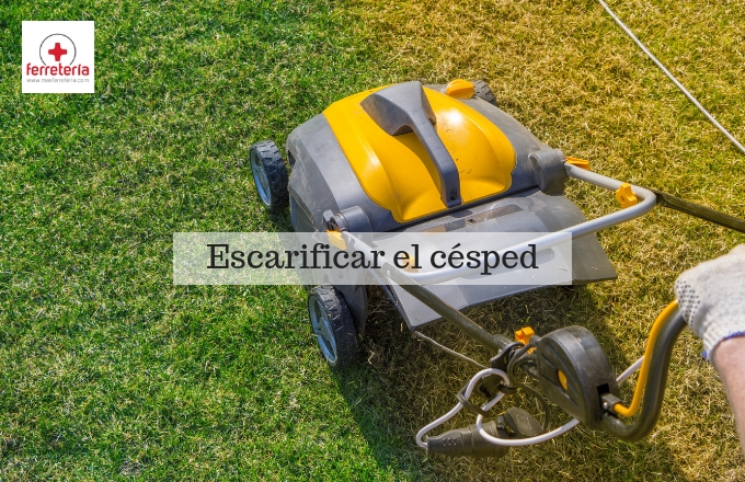 Cómo escarificar el césped de tu jardín –canalHOGAR