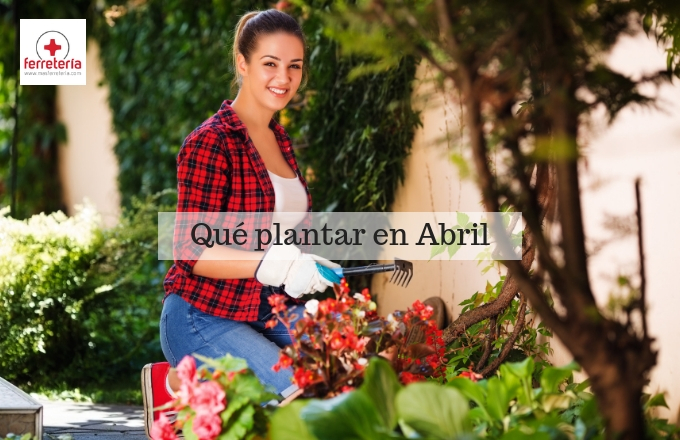 que-plantar-en-abril