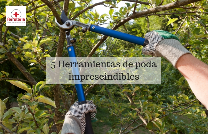 Mi herramienta imprescindible en el jardín: las tijeras eléctricas