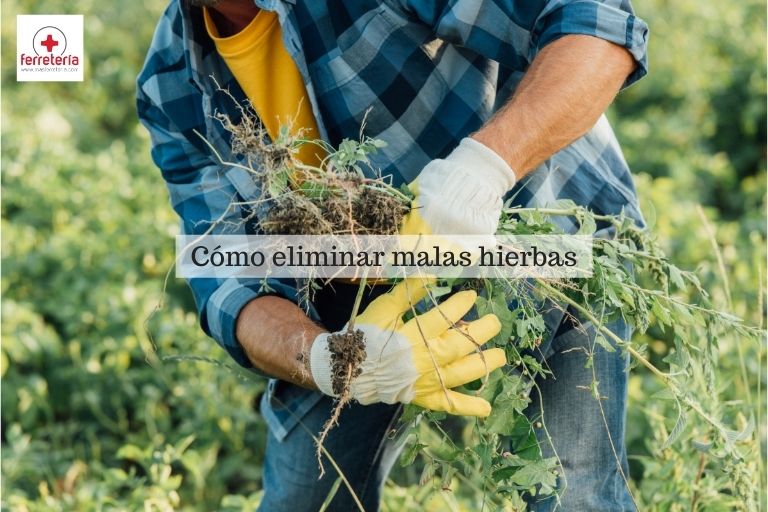 como eliminar malas hierbas