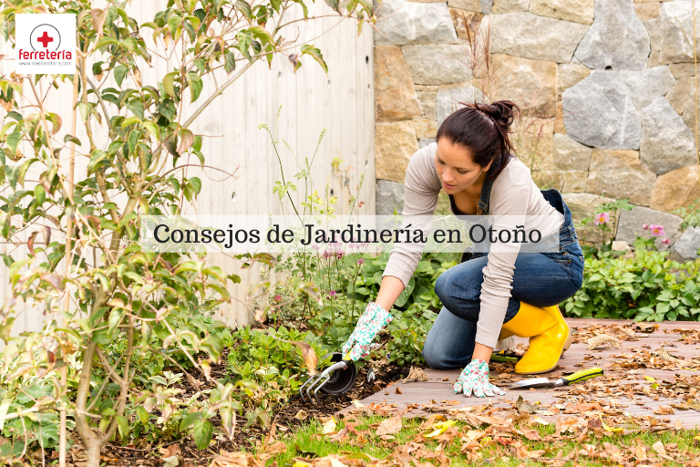 Consejos de jardinería en otoño