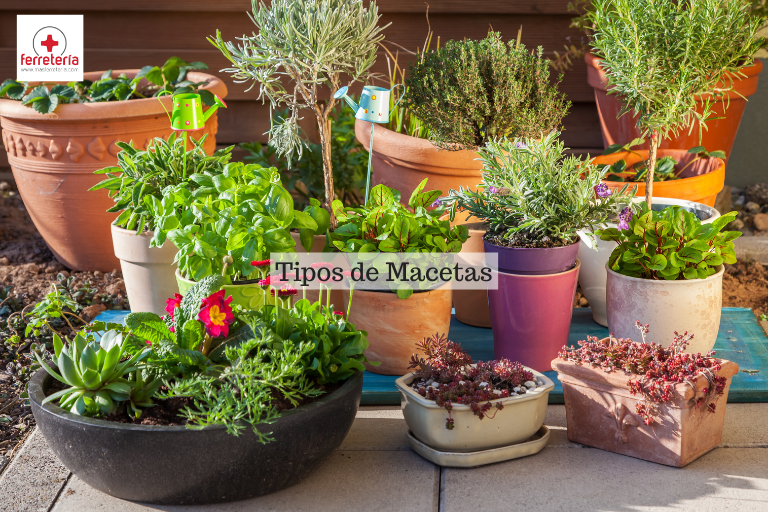 Tipos de Macetas para Terraza o Jardín