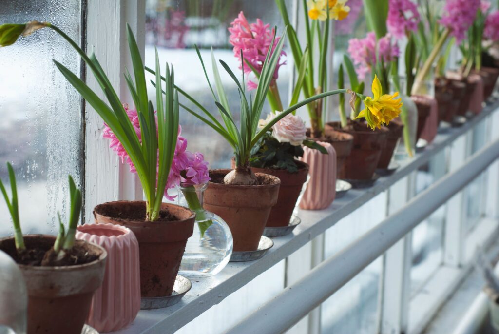 decorar con plantas la terraza