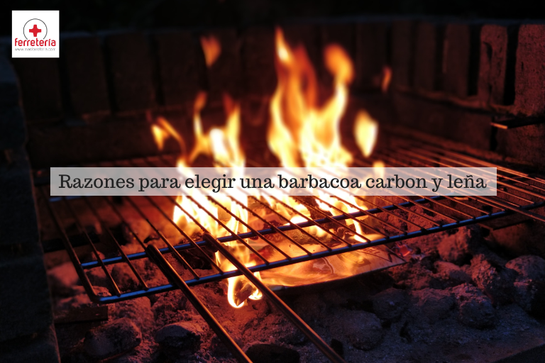 barbacoa carbon y leña