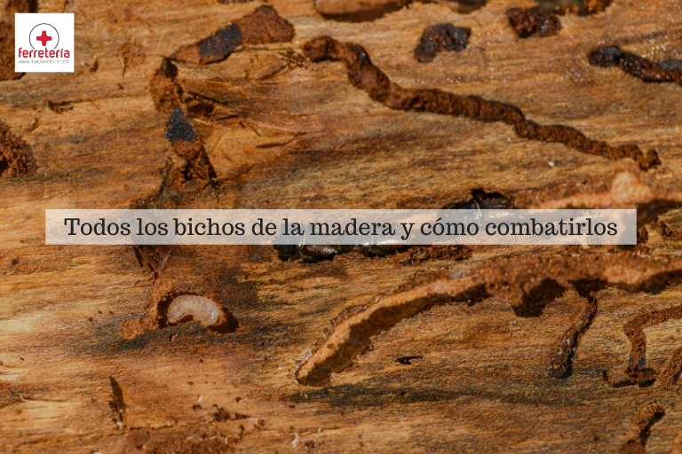 bichos de la madera