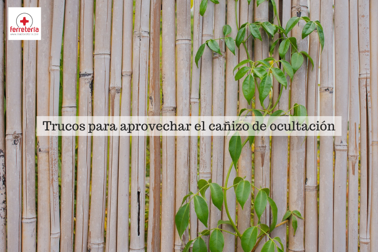 cañizo ocultación