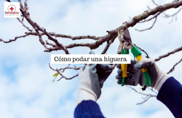 Foto de cómo podar una higuera