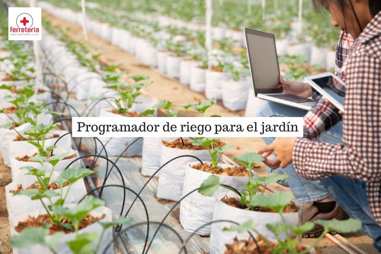 Mujer trabajando con programador de riego