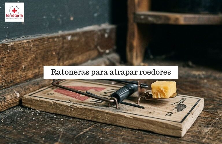 Ratonera con queso para ratones