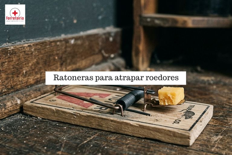 Ratonera con queso para ratones