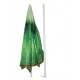 Sombrilla Playa 180cm Natuur Oxford Kiwi Nt118890