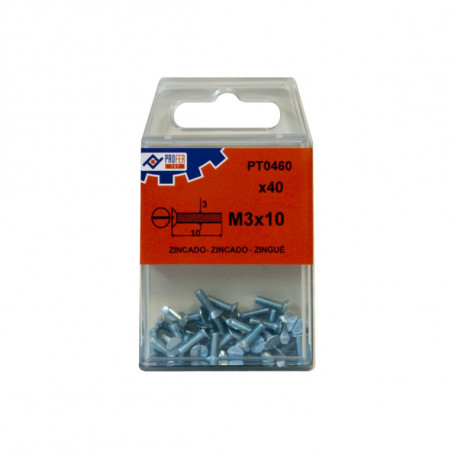 Tornillo C/p Din963 Zn C/40 Pz 3x10 Mm