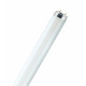 Tubo Fluoresce Lumilux Plus T8 18 W