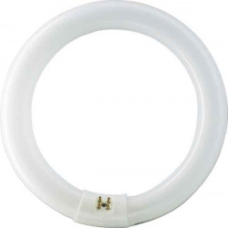 Tubo Fluoresce Circular T9 216 Mm