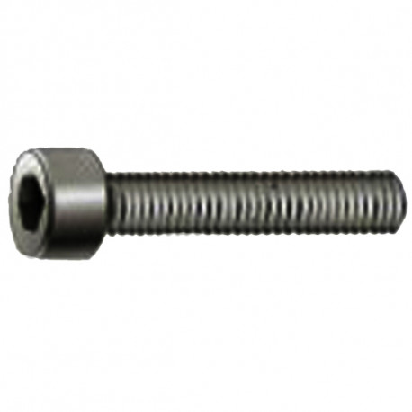 Tornillo Allen Din912 8.8 Pav. M6x50