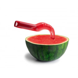 Cortador Sandia Plastico 22 Cm