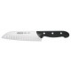 Cuchillo Cocina Santoku Maitre 170 Mm