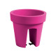 Maceta Balcon Lofly R. Magenta 23x25 Cm