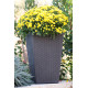 Macetero Ratan 24 L 29x29x44