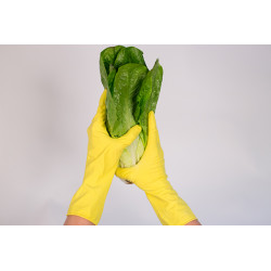 Guante Latex Flocado Amarillo M