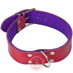 Collar Perro Cuero Granate/pur 550x40 Mm