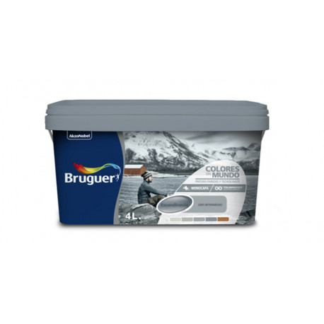 Pint Plast Escandi. Gris Natur 4 L