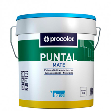 Pintura Plastica Mate Puntal 15 L