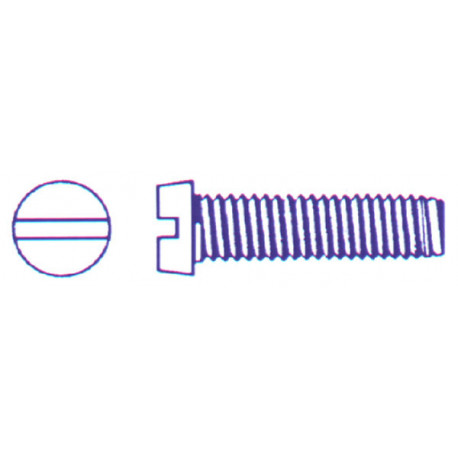 Tornillo Din84 C/cil Ranurado M3x10