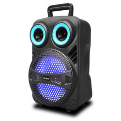 Altavoz Troley Efectos Luz Usb 25 W