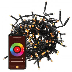 Guirnalda Wifi Rgb+cct 60 Led 6 M