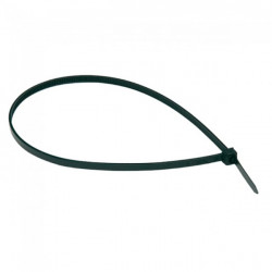 Brida Nylon Negra C/100 7,6x290