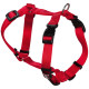 Collar Mascota Ancho 1,5cm Cab 27,5a39cm Tronco 38a31cm Arpp