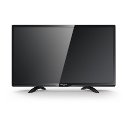 Television Ever Led Hd - Usb Pvr Tdt2 24" Oca-modo Hotel Le2