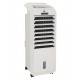 Climatizador Evaporativo Torre C/mando 5l 55 W