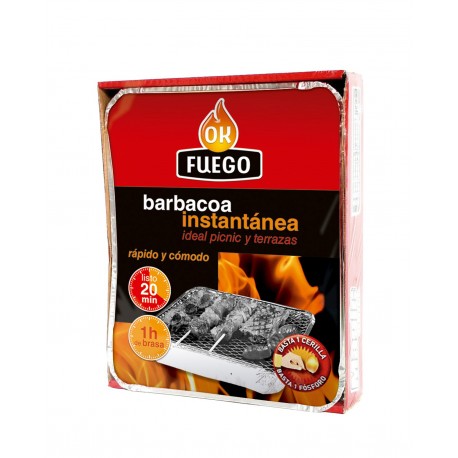 Barbacoa Instantanea 1 Uso Okfuego